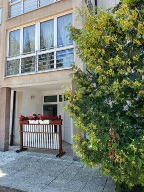 MS Apartmani Fojnica